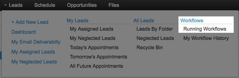 leads-menu-running-workflows